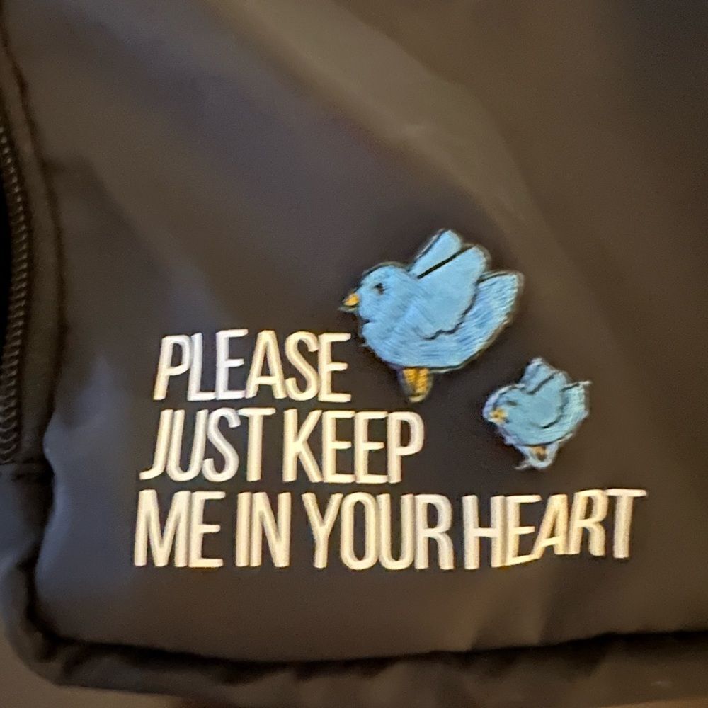Jonas Brothers “little bird” Crossbody Bag - Picture 2 of 4